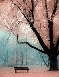 pic for pink tree